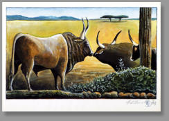 Stierfamilie, 2006, 14 x 21,5 cm, Bleistift und Aquarell auf handgeschöpftem Bütten, Privatbesitz